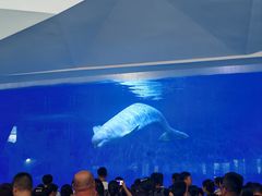 -泉城欧乐堡海洋极地世界
