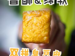 -茅老太臭豆腐