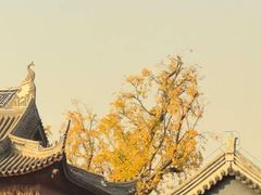 -贡湖湾湿地公园