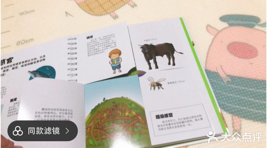 有趣的动物百科