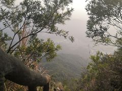 -梧桐山风景名胜区