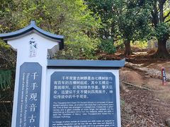 -腾冲和顺柏联酒店