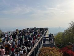 -紫金山山顶公园