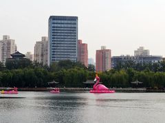 -莲花池公园