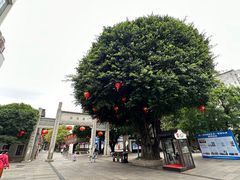 -三坊七巷历史文化街区