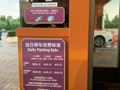 -迪士尼乐园停车场