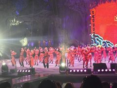 -广州长隆国际大马戏