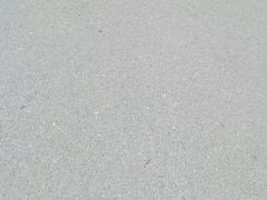 -索拉古贝(义乌北苑店)