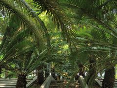 -重庆平顶山公园