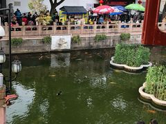 -豫园湖心亭茶楼