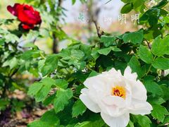 -狼山风景名胜区