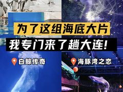 -大连圣亚海洋世界