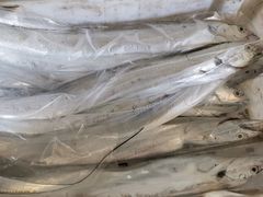 -中国舟山国际水产城