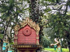 -瑞丽独树成林风景区