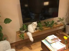 -德瑞姆心理咨询旗舰店