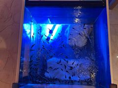 -菲拉拉漫温泉(东环路店)