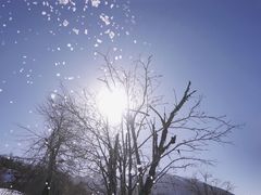 -太子岭滑雪场