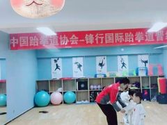 -嗨动跆拳道体能馆(菜百店)
