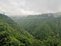 -四明山国家森林公园