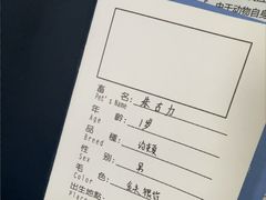 -申普宠物医院·心脏介入·心血管微创(总院)