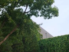 -广州塔卢特斯法国旋转餐厅