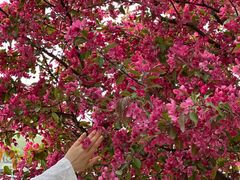 -长白岛森林公园