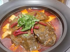 -沸腾鱼乡(知春路分店)