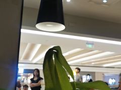 -太二酸菜鱼(深圳布吉万象汇店)
