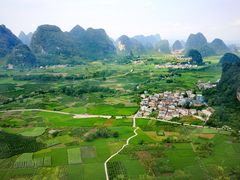 -会仙湿地