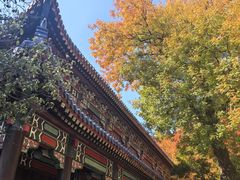 -灵谷景区