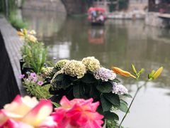 -长廊好灶头 本地人农家菜(枫泾古镇店)