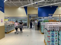 -盒马X会员店(王府井奥莱UP TOWN店)