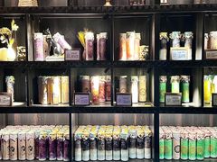 -雪灵魔法世界SHELLY’S TAROT(大良桂畔里店)