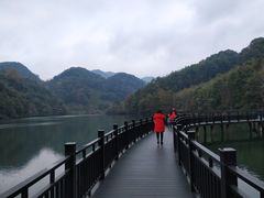 -江西阳明山国家森林公园