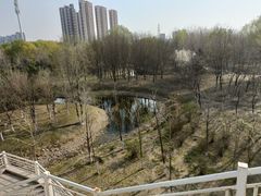 -长白岛森林公园