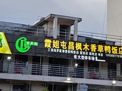 -霞姐屯昌枫木香草鸭店(海螺店)