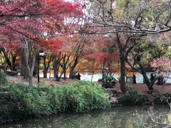 -秋霞圃