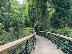 -深圳仙湖植物园