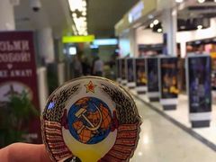 -谢列梅捷沃国际机场