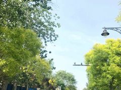 -天津五大道文化旅游区