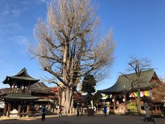-医王山·飞騨国分寺