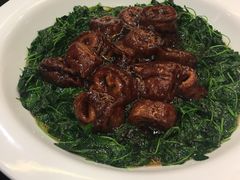 -新南华大酒店(广中店)