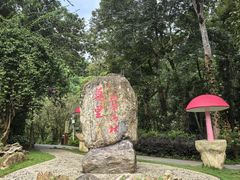 -莫里热带雨林景区