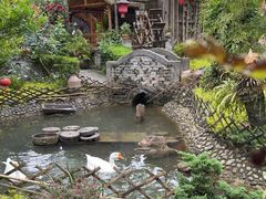 -青城甲(青城山店)