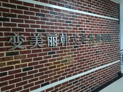 -变美丽半永久纹眉连锁·机器野生眉·洗眉