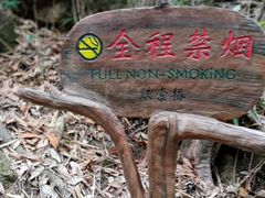 -九鲤湖风景区