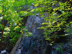 -北京上方山国家森林公园