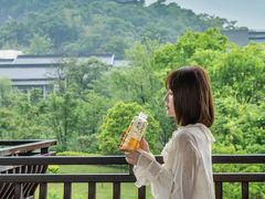 -雅达·阳羡溪山小镇中心