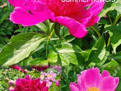 -长春公园(普阳街道)