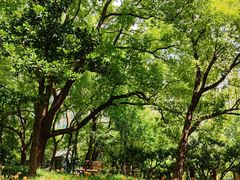 -徐家汇源景区-衡山公园